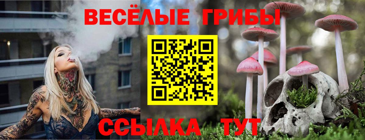 Галлюциногенные грибы ЛСД Самара