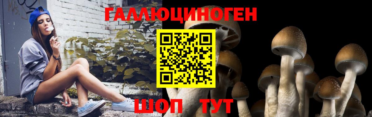 Галлюциногенные грибы ЛСД  Вход с VPN  Самара  Галлюциногенные грибы Cubensis 